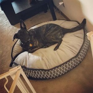 Meet your Posher, Jessi